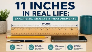 11 Inches in Real Life: Exact Size, Objects & Measurements